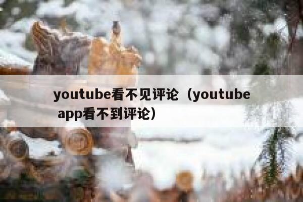 youtube看不见评论（youtube app看不到评论） 第1张