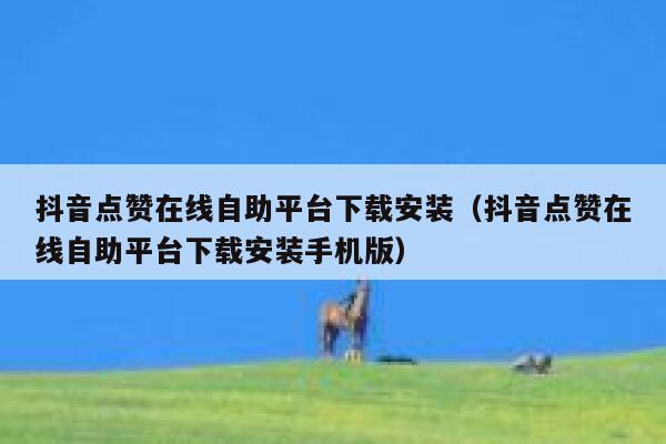 抖音点赞在线自助平台下载安装（抖音点赞在线自助平台下载安装手机版） 第1张
