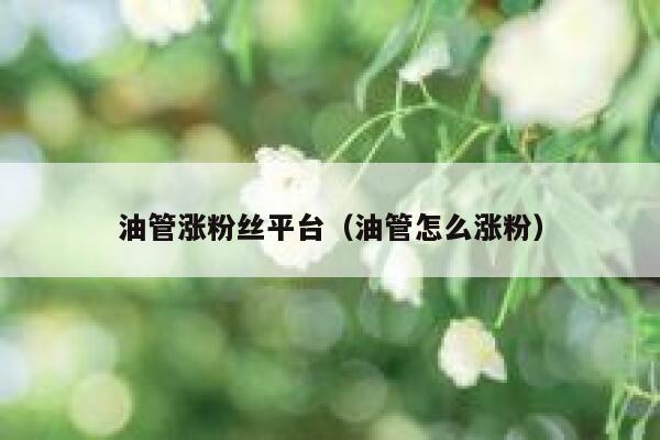 油管涨粉丝平台（油管怎么涨粉） 第1张