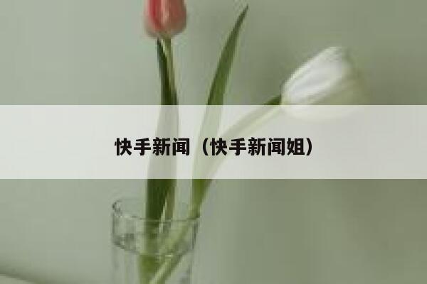 快手新闻（快手新闻姐） 第1张