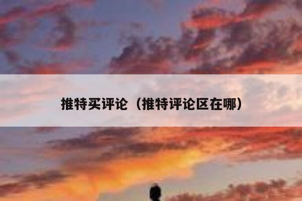 推特买评论（推特评论区在哪） 第1张