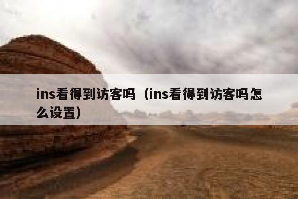 ins看得到访客吗（ins看得到访客吗怎么设置） 第1张