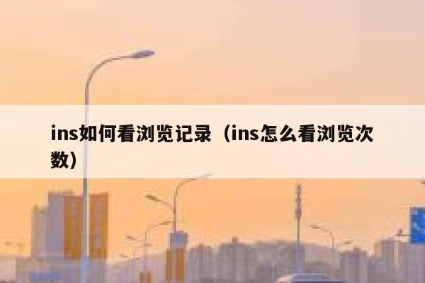 ins如何看浏览记录（ins怎么看浏览次数） 第1张