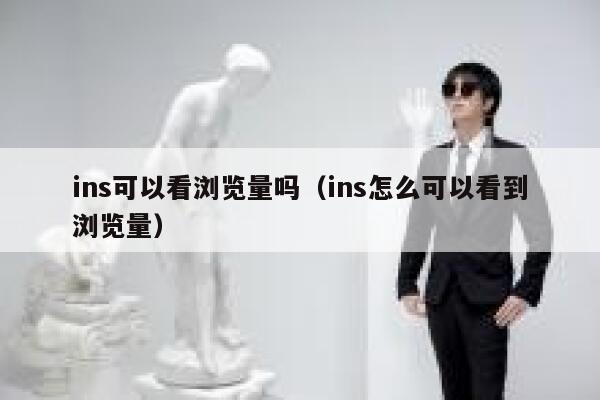 ins可以看浏览量吗（ins怎么可以看到浏览量） 第1张