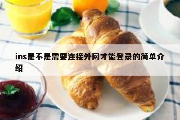ins是不是需要连接外网才能登录的简单介绍 第1张