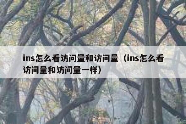 ins怎么看访问量和访问量（ins怎么看访问量和访问量一样） 第1张