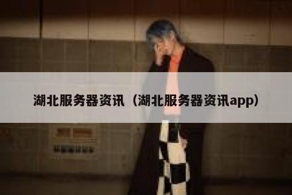 湖北服务器资讯（湖北服务器资讯app） 第1张