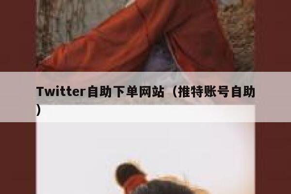 Twitter自助下单网站（推特账号自助） 第1张