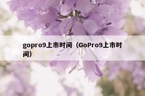 gopro9上市时间（GoPro9上市时间） 第1张