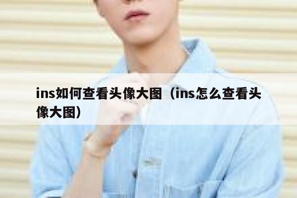ins如何查看头像大图（ins怎么查看头像大图） 第1张