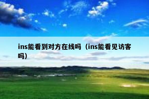 ins能看到对方在线吗（ins能看见访客吗） 第1张