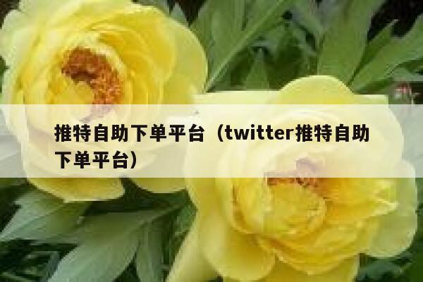 推特自助下单平台（twitter推特自助下单平台） 第1张