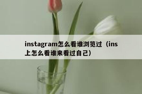 instagram怎么看谁浏览过（ins上怎么看谁来看过自己） 第1张