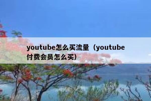 youtube怎么买流量（youtube付费会员怎么买） 第1张
