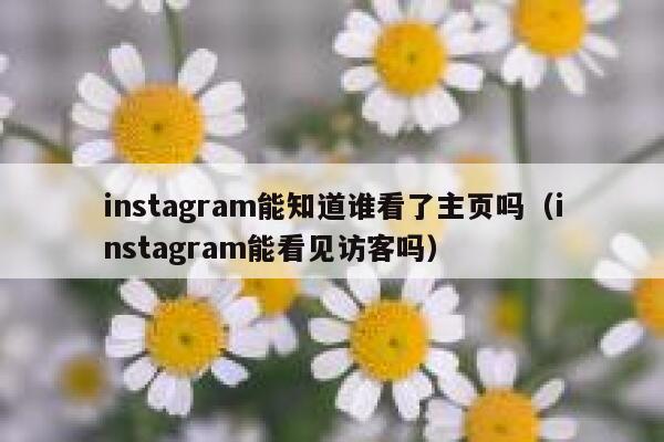 instagram能知道谁看了主页吗（instagram能看见访客吗） 第1张