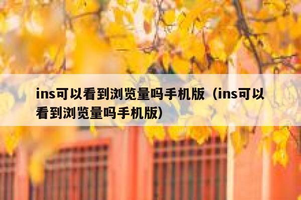 ins可以看到浏览量吗手机版（ins可以看到浏览量吗手机版） 第1张