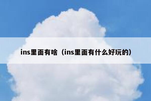 ins里面有啥（ins里面有什么好玩的） 第1张