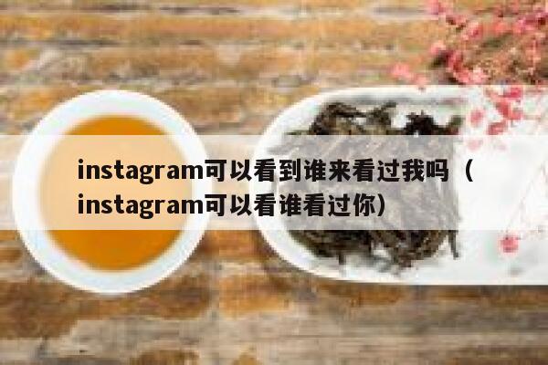 instagram可以看到谁来看过我吗（instagram可以看谁看过你） 第1张