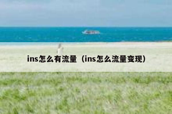 ins怎么有流量（ins怎么流量变现） 第1张