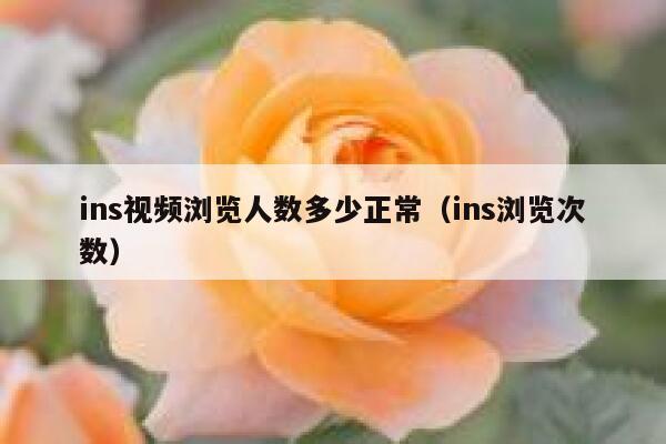 ins视频浏览人数多少正常（ins浏览次数） 第1张