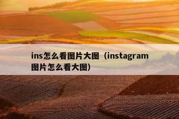 ins怎么看图片大图（instagram图片怎么看大图） 第1张