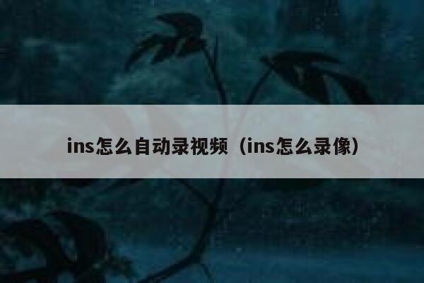 ins怎么自动录视频（ins怎么录像） 第1张