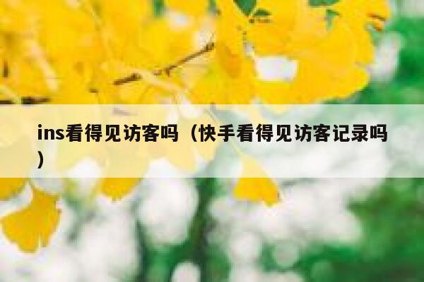 ins看得见访客吗（快手看得见访客记录吗） 第1张