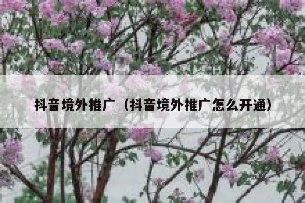 抖音境外推广（抖音境外推广怎么开通） 第1张