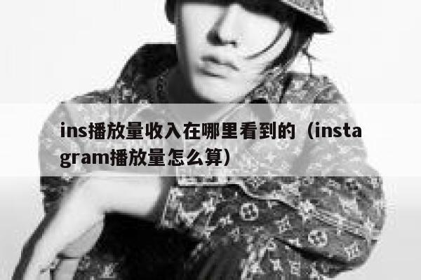 ins播放量收入在哪里看到的（instagram播放量怎么算） 第1张