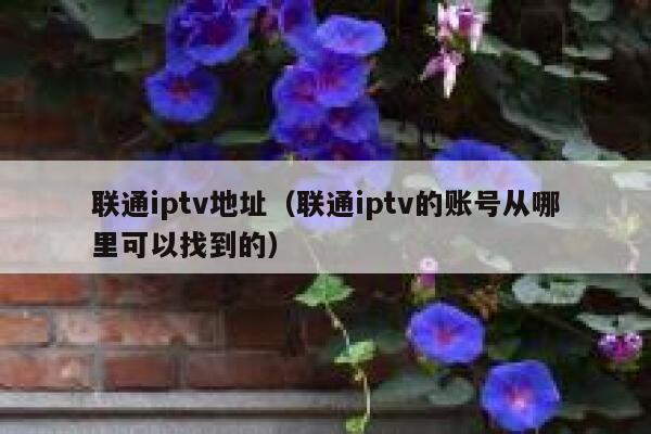 联通iptv地址（联通iptv的账号从哪里可以找到的） 第1张