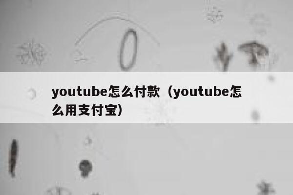 youtube怎么付款（youtube怎么用支付宝） 第1张