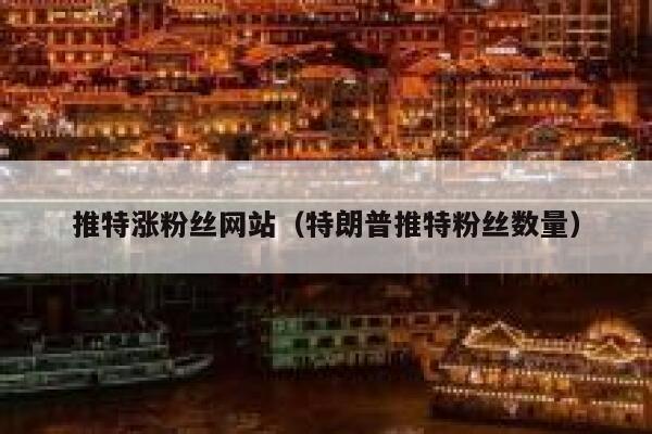 推特涨粉丝网站（特朗普推特粉丝数量） 第1张