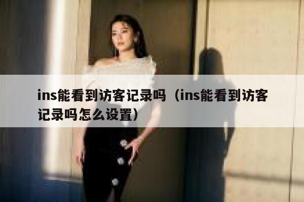 ins能看到访客记录吗（ins能看到访客记录吗怎么设置） 第1张