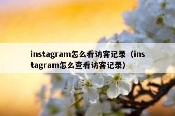 instagram怎么看访客记录（instagram怎么查看访客记录） 第1张