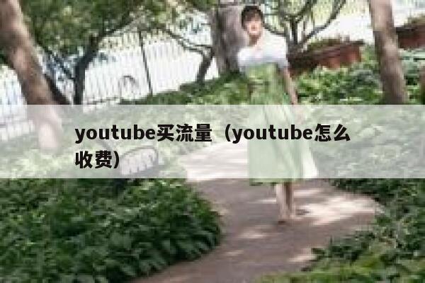 youtube买流量（youtube怎么收费） 第1张