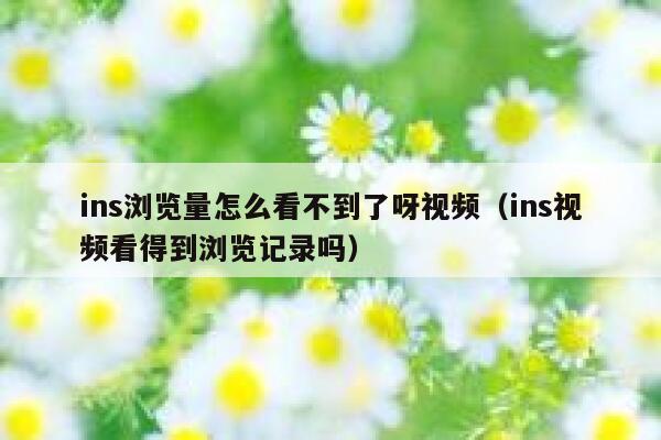 ins浏览量怎么看不到了呀视频（ins视频看得到浏览记录吗） 第1张