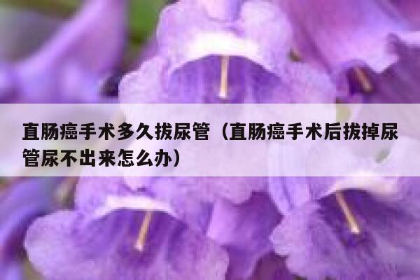 直肠癌手术多久拔尿管（直肠癌手术后拔掉尿管尿不出来怎么办） 第1张