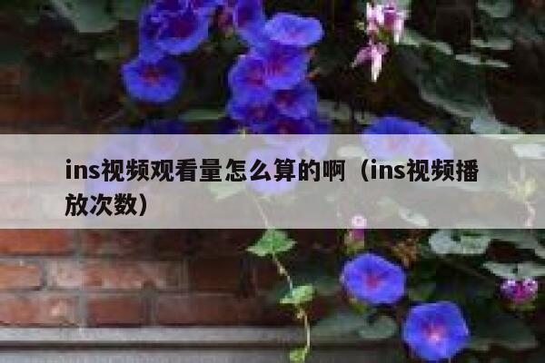 ins视频观看量怎么算的啊（ins视频播放次数） 第1张