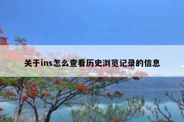 关于ins怎么查看历史浏览记录的信息 第1张