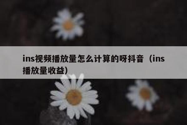 ins视频播放量怎么计算的呀抖音（ins播放量收益） 第1张