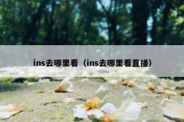 ins去哪里看（ins去哪里看直播） 第1张