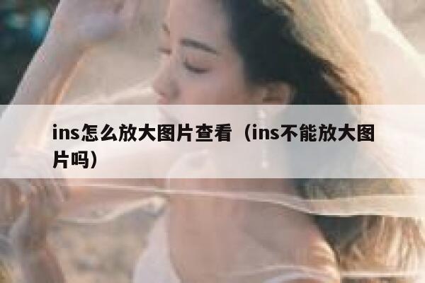 ins怎么放大图片查看（ins不能放大图片吗） 第1张