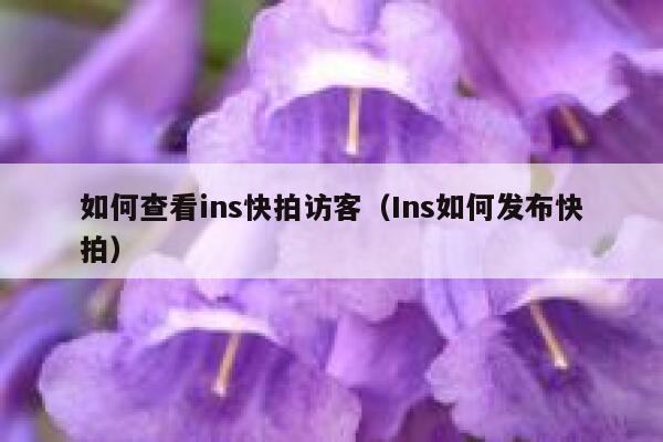 如何查看ins快拍访客（Ins如何发布快拍） 第1张