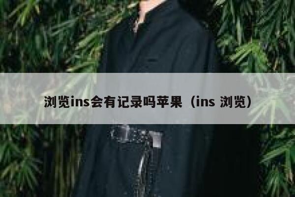 浏览ins会有记录吗苹果（ins 浏览） 第1张