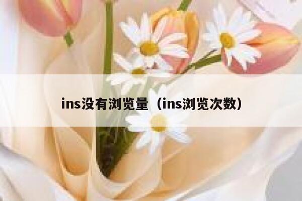 ins没有浏览量（ins浏览次数） 第1张