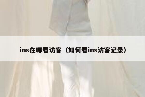ins在哪看访客（如何看ins访客记录） 第1张