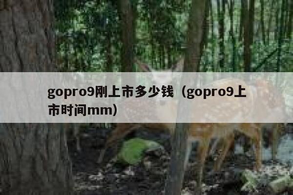 gopro9刚上市多少钱（gopro9上市时间mm） 第1张