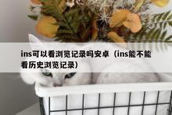 ins可以看浏览记录吗安卓（ins能不能看历史浏览记录） 第1张