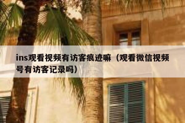 ins观看视频有访客痕迹嘛（观看微信视频号有访客记录吗） 第1张