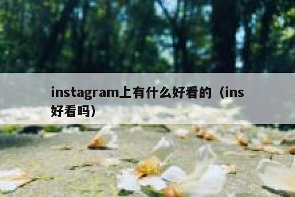 instagram上有什么好看的（ins好看吗） 第1张